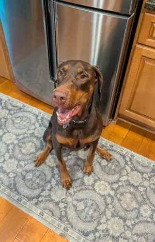 Brandy