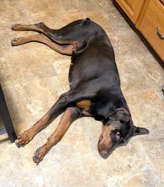 Brandy
