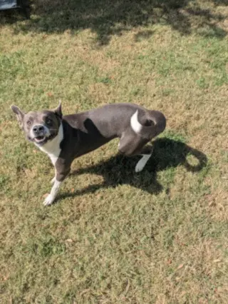 BUBBA