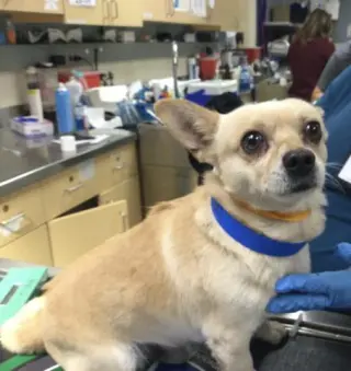 JERRY