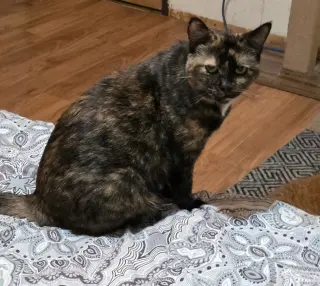 Sweetie