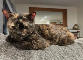 Sweetie