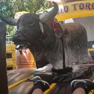 Renta de artículos para Fiesta