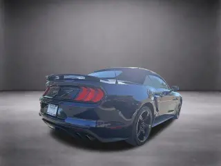 Ford Mustang 2019 GT Premium 2db Convertible