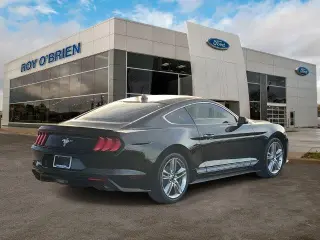 Ford Mustang 2021 EcoBoost Premium 2dr Fastback
