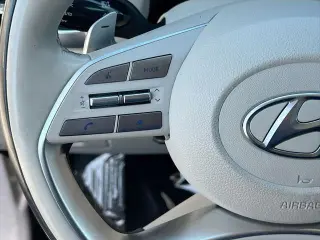 Hyundai PALISADE 2024 AWD Calligraphy 4dr SUV