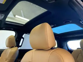 Kia Telluride 2020 SX 4dr SUV
