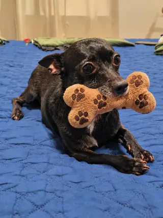 Coal and Coco