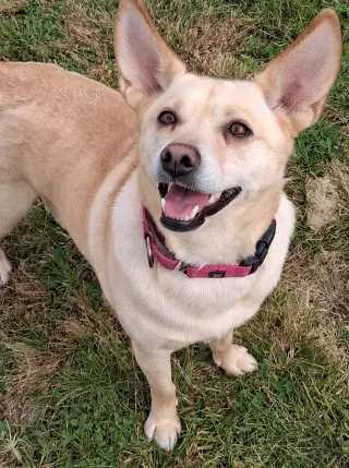 Bonnie