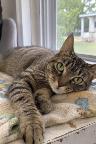 Clara