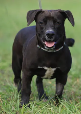 Max