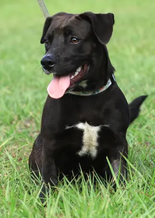 Max