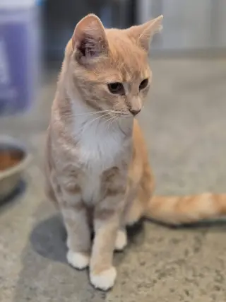 Lillian
