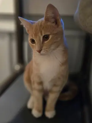 Lillian