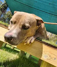 MATILDA