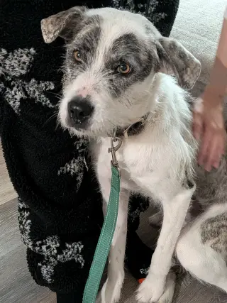 Marley