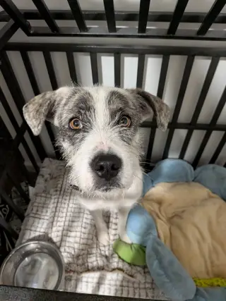 Marley