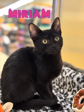 Miriam