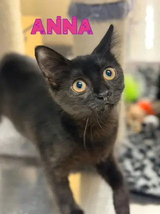Anna