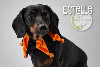 Estelle