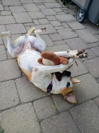Patches