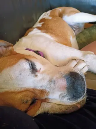 Patches