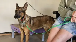 Marty - Located in CO