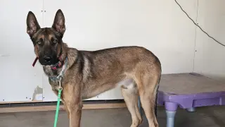 Marty - Located in CO