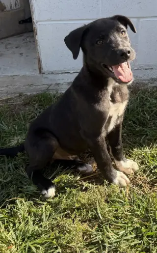Georgia : Tucker