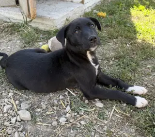Georgia : Tucker