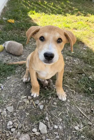 Georgia : Savannah