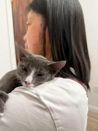 Grey