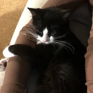 Jinx