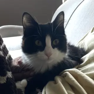 Jinx