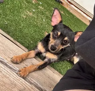 Radar