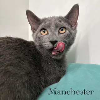 Manchester