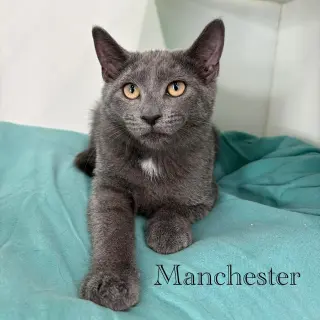 Manchester