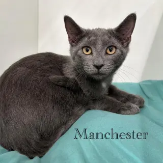 Manchester