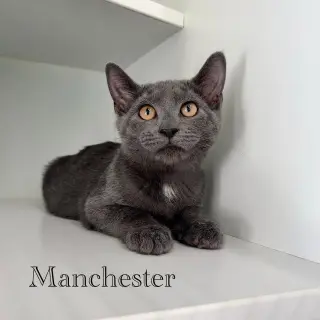 Manchester