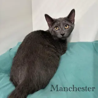 Manchester