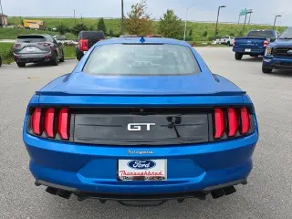 Ford Mustang 2021 GT 2dr Fastback Limpeta