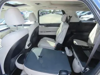 Hyundai PALISADE 2024 AWD Calligraphy 4dr SUV