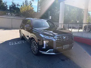 Hyundai PALISADE 2024 Caligrafía 4dr SUV