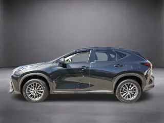 Lexus NX 350h 2024 AWD Premium 4dr Crossover