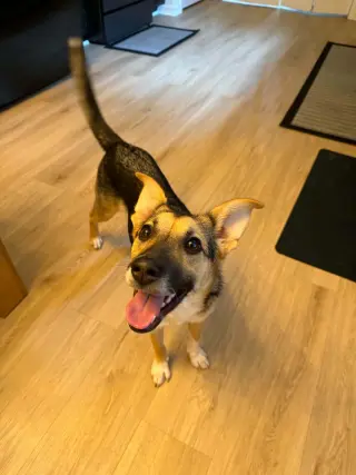 Sabine