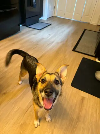 Sabine