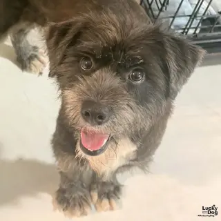 Fiona