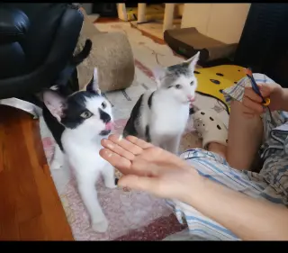 Chaplin and Charlie