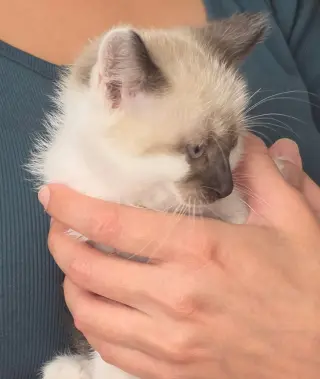 Oakley