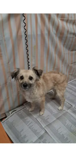Minnie